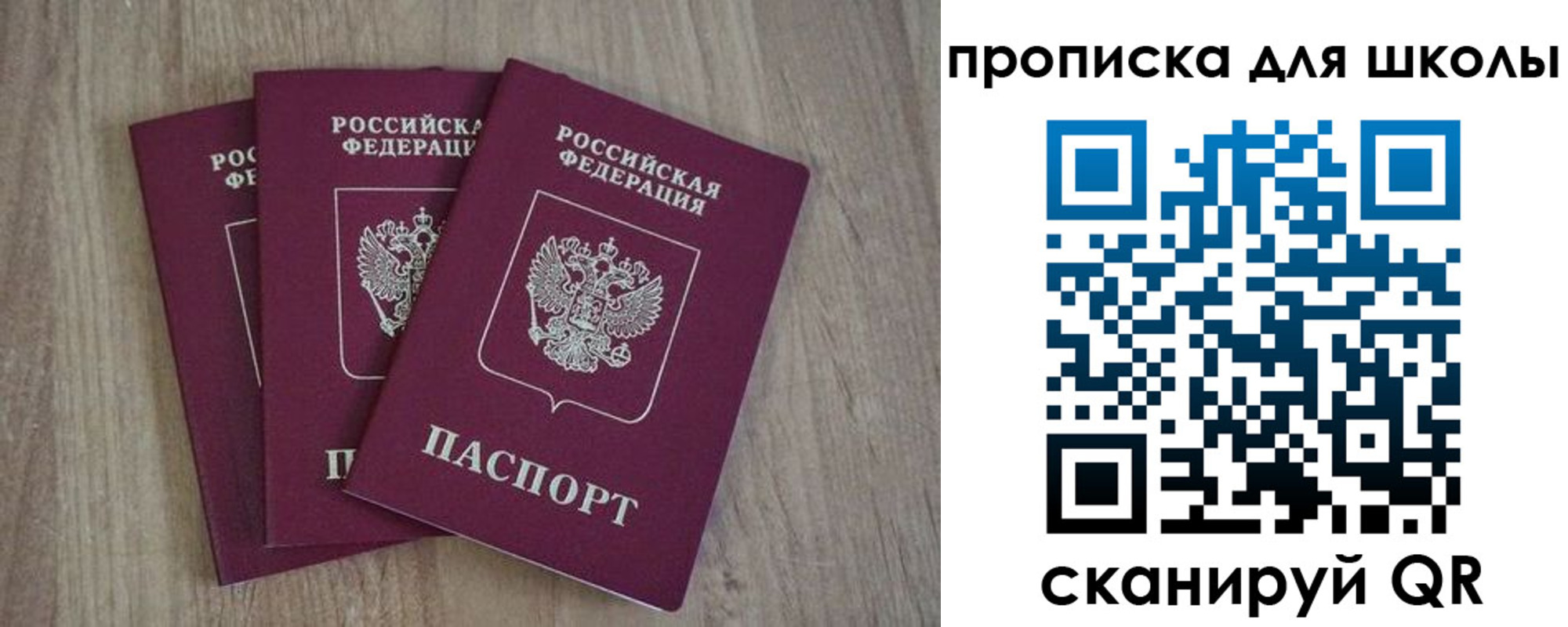 прописка для школы в Химках